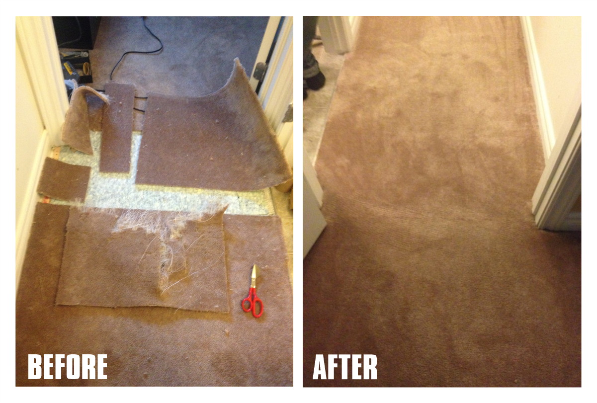 repaired pet damaged carpets